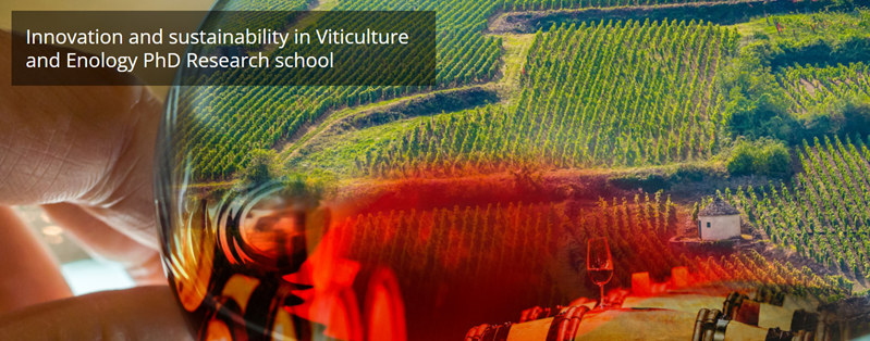 Innovation and sustainability in Viticulture and Enology PhD Research school